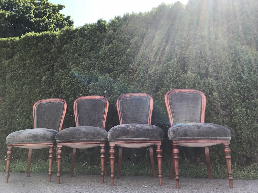 Dining chairs with fresh upholstery